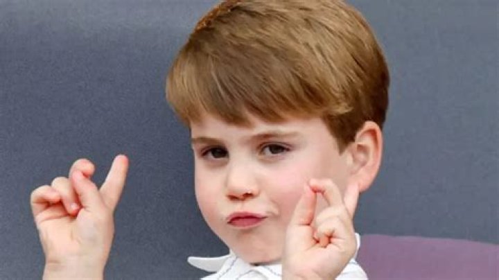 Prince Louis Autistic